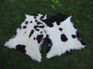 MARIANA ALVAREZ Avisos gratis en Chile en Las Condes |  ALFOMBRAS DE CHIVO Y CORDERO, BAJADAS DE CAMA, ALFOMBRAS DE CHIVO Y CORDERO, BAJADAS DE CAMA