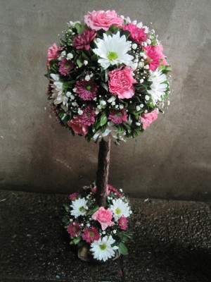 bonsai rosado Avisos gratis en Chile en Recoleta |  bonsay, arreglo floral