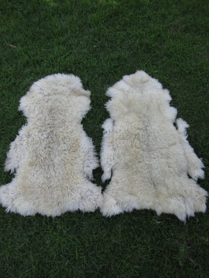 MARIANA ALVAREZ Avisos gratis en Chile en Las Condes |  ALFOMBRAS CUERO DE CHIVO Y CORDERO, BAJADAS DE CAMA, CUERO DE CHIVO Y CORDERO $50.000