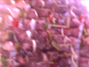 Lucia Elena Lazo Acu&ntilde;a Avisos gratis en Chile en Santiago |  Servicios de Cocteler&iacute;a a Domicilio: Canap&eacute;s, Tapaditos, Brochetas, Dulces,, Servicios de Cocteler&iacute;a a Domicilio