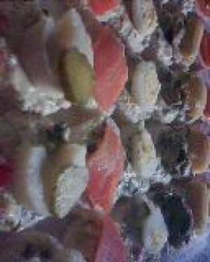 Lucia Elena Lazo Acu&ntilde;a Avisos gratis en Chile en Santiago |  Empanaditas a Domicilio: Canap&eacute;s, Brochetas, Dulces, Sopaipillas, Cocteler&iacute;, Servicios de Cocteler&iacute;a a Domicilio