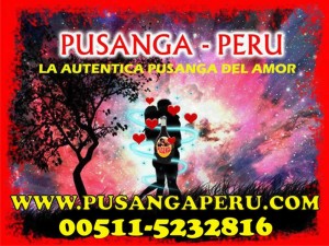 gaby Avisos gratis en Chile en Puangue Alto |  PUSANGA EFECTIVO PARA UNIR PAREJAS, www.pusangaperu.com