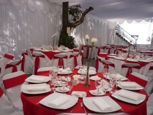 Ximena Avisos gratis en Chile en Providencia |  Asados Campestres, Matrimonios en Parcelas o Locales, Eventos a Empresas. , Matrimonios Campestres. 09-9019389