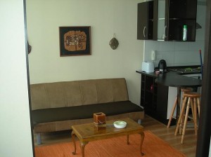  Avisos gratis en Chile en Santiago |  Arriendo depto amoblado en stgo centro $ 24.000, METRO UNIVERSIDAD CATOLICA