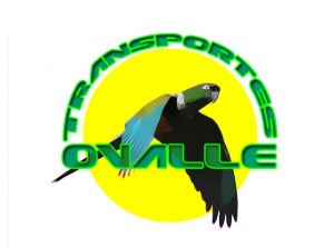 Fernando Olivares Veliz Avisos gratis en Chile en Calama |  SERVICIOS REGIONALES DE TRANSPORTE DE PASAJEROS - TRANSPORTES OVALLE, taxis,vanes,mini buses, taxi buses, transporte privado y turismo