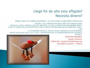 claudia Avisos gratis en Chile en Santiago |  obtenga su credito con o sin dicom, obtengalo ya