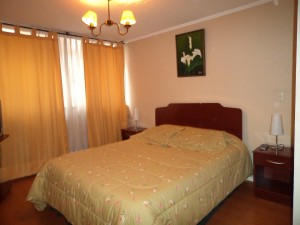  Avisos gratis en Chile en Santiago |  Arriendo departamentos amoblados en SANTIAGO CENTRO  por d&iacute;as , metro univ de chile