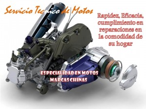 Lizardo Cespedes Avisos gratis en Chile en Santiago |  Mec&aacute;nica de Motos a Domicilio en Santiago, Confianza y Econom&iacute;a en su Hogar