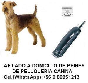 Daniel Casanova Avisos gratis en Chile en Santiago |  Afilado de cuchillas de peluquer&iacute;a canina a domicilio., Todas las marcas : ANDIS , OSTER , WAHL , etc.