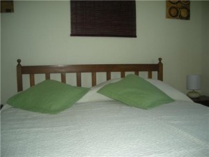  Avisos gratis en Chile en Santiago |  Arriendo departamentos amoblados en SANTIAGO CENTRO por d&iacute;as 2 ambientes, Metro Baquedano, Limite providencia, Stgo centro 4to piso