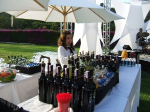 dnailea camus Avisos gratis en Chile en San Miguel |  GARZONES A DOMICILIO 09-1570121 Eventos asesoramos sus eventos con garzones, WWW.ELITESEGURIDAD.CL Eventos asesoramos sus eventos sociales y corporativo