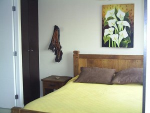  Avisos gratis en Chile en Santiago |  Arriendo departamentos amoblados en SANTIAGO CENTRO por d&iacute;as 2 ambientes, METRO UNIVERSIDAD CATOLICA