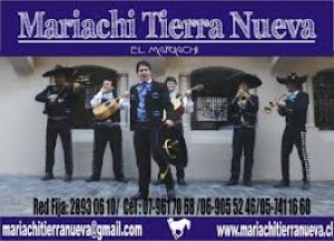 Marcela Rocha Avisos gratis en Chile en &Ntilde;u&ntilde;oa |  Recurditos para Baby shower y Encintados para toda Ocasion, Bautizos,Baby shower,Nacimientos,Primera Comunion,etc.