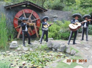 Mariachi Tierra Nueva Avisos gratis en Chile en Santiago |  Serenatas en chile,regalando amor: 07-9617068  mariachi tierra nueva, !!!los mejores musicos de latinoamerica en tu domicilio: (022) 301 63 