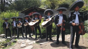Mariachi Tierra Nueva Avisos gratis en Chile en Santiago |  Serenatas en santiago , momentos que dejan huellas: (022) 573 31 58, !!! comprometidos con usted(022) 573 31 58 !!!
