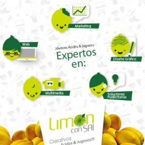 Andr&eacute;s Pe&ntilde;a Avisos gratis en Chile en Providencia |  Agencia de publicidad lim&oacute;n con sal s.a., Dise&ntilde;o gr&aacute;fico, p&aacute;ginas web, pendones, volantes, pendrives