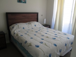 monica Avisos gratis en Chile en Santiago |  Arriendo deptos amoblados,equipados,nuevos en el  centro de santiago, Metro universidad de chile 1 y 2 dormitorios