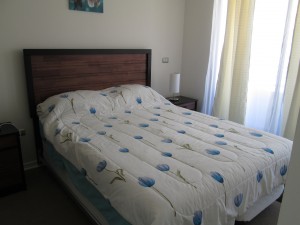 monica Avisos gratis en Chile en Santiago |  Alojamiento departamentos amoblados centro de santiago , Metro universidad de chile 1 y 2 dormitorios