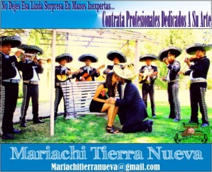 Mariachi Tierra Nueva Avisos gratis en Chile en Santiago |  Contrata serenatas de excelencia: (022) 3016370 mtn,  !!! llamenos ya (022) 3016370 !!!