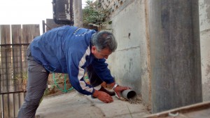 FUMIGACIONES Avisos gratis en Chile en Olmu&eacute; |  Roedores eliminamos a parcelas, casas, empresas atendemos 24/7, Eliminacion, extincion,desratizacion,