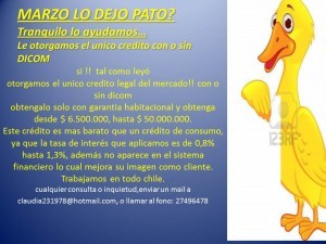 claudia Avisos gratis en Chile en Vi&ntilde;a del Mar |  Hasta cuando vive afligido? venga hoy y obtenga su credito, Con o sin dicom unico legal