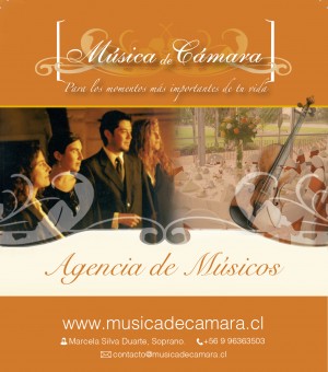 Horacio Silva Duarte Avisos gratis en Chile en Las Condes |  M&uacute;sica docta en vivo para celebraciones privadas y de empresas, Amplio repertorio de grandes compositores de la humanidad