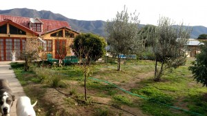 Camila Avisos gratis en Chile en Santiago |  Hermosa propiedad con piscina y casa de 100 mts2, En la localidad de santa julia petorca