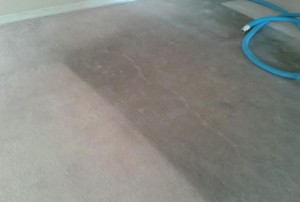 LUIS Avisos gratis en Chile en Vi&ntilde;a del Mar |  Lavado alfombra lavanderia vi&Ntilde;a jardin del mar recreo re&Ntilde;aca 997798674, Lavado de alfombras y lavanderia, retiro a domicilio 997798674