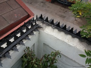 Ricardo Cartes Avisos gratis en Chile en Santiago |  Instalacion de puntas tiburon y concertinas para cierres perimetrales, Puntas tiburon y concertinas de seguridad