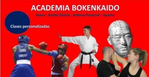 Manuel Marín Avisos gratis en Chile en Providencia |  Aprende a defenderte con defensa personal integral boxeo karate aikido, Defensa personal integral karate boxeo aikido