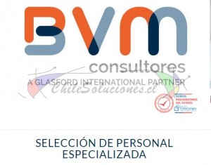 BVM Consultores Avisos gratis en Chile en &Ntilde;u&ntilde;oa |   selección de personal, bvm, consultora de recursos humanos , Bvm consultores, selección especializada de personal, headhunting
