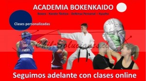 Sensei manuel marín Avisos gratis en Chile en Providencia |  Aprende defensa personal desde tu casa con clases online, Clases online de defensa personal