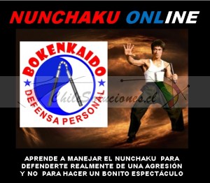 Sensei manuel marín Avisos gratis en Chile en Santiago |  Curso de nunchaku online, arma de las artes marciales asiáticas, Curso de nunchaku online artes marciales 