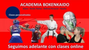 Sensei manuel marín Avisos gratis en Chile en Providencia |  Vence tu miedo con clases online de defensa personal, No más temor en las calles