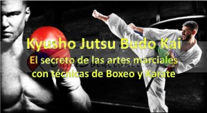 Sensei manuel marín Avisos gratis en Chile en Providencia |  Ven al curso online de kyusho jutsu el secreto de las artes marciales, Kyusho jutsu online ven al curso y entrena con nosotros