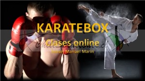 Sensei manuel marín Avisos gratis en Chile en Providencia |  Curso online de karatebox, llama y comienza ahora, Curso online de karatebox llama y comienza ahora tú también