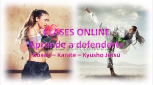 Sensei manuel marín Avisos gratis en Chile en Providencia |  Online cursos no pierdas esta oportunidad de aprender lo que te gusta, No pierdas la oportunidad de aprender lo que te gusta