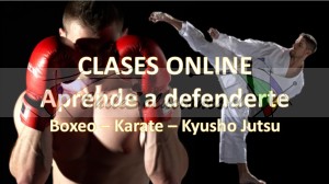 Sensei manuel marín Avisos gratis en Chile en Providencia |  Cursos online, defensa, boxeo, karate y kyusho jutsu, Defensa online ahora por la pandemia