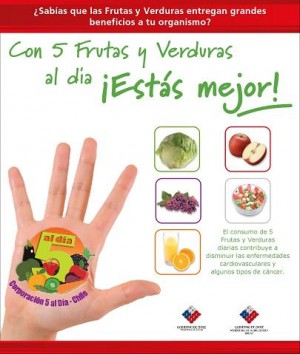 ACC Co Ltda Avisos gratis en Chile en Las Condes |  Frutas y Verduras a Domicilio (Despacho Gratis) WWW.ACCCO.CL , (5 FRUTAS Y VERDURAS AL DIA, TE HACE BIEN)