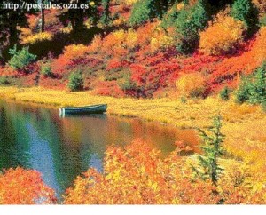 Vivian Avisos gratis en Chile en Santiago |  LAVADO DE CEREBRO, aprende a ser Optimista!, curso gratis xmail, mundial, AUTOAYUDA