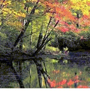 Vivian Avisos gratis en Chile en Santiago |  El mejor terapeuta del mundo, se otorgaTitulo, curso gratis xmail ,mundial, RECIBETE DE TERAPEUTA Y EJERCE LA PROFESION DE MAYOR DEMANDA MUNDIAL