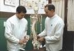 SANARPUNTOVERDE Avisos gratis en Chile en Santiago |  curso profesional de quiropraxia  , curso quiropraxia profesional clases personalizadas