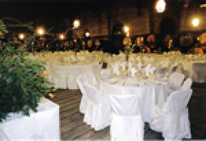 PATRICIO HERNANDEZ Avisos gratis en Chile en Quilicura |  BANQUETERIA, SERVICIO PARA   NOVIOS