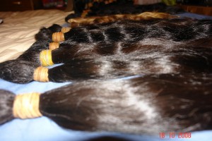 CAROLINA CONTRERAS DIAZ Avisos gratis en Chile en Temuco |  EXTENSIONES DE CABELLO NATURALES DISTRIBUIDORA TEMUCO, MAYORISTA  PROFESIONALES