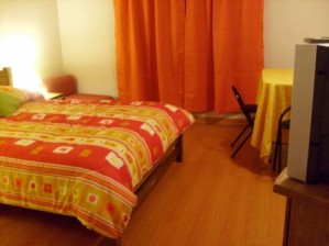  Avisos gratis en Chile en Santiago |  se arrienda departamento amoblado (d&iacute;as, semanas, horas), sector bellas artes