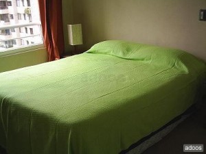 deptovictoria Avisos gratis en Chile en Santiago |  ARRIENDO DEPARTAMENTOS AMOBLADOS(dias,semanas). STGO. CENTRO, Santa Victoria con Portugal�METRO UNIV. CATOLICA