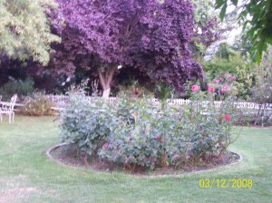 club 140 Avisos gratis en Chile en Maip&uacute; |  Yoga ejercicios f&igrave;sicos y de relajaci&ograve;n, YOGA BELLEZA Y SALUD A&Ntilde;O 2009 COMUNA DE MAIP�