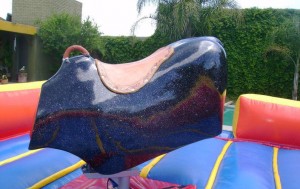 SAMUEL Avisos gratis en Chile en Santiago |  ANIMACIONES  INFANTILES, ARRIENDOS  ,  INFLABLES,  TORO MEC�NICO  ETC , ARCA  DE  SAMUEL  PRODUCCIONES  FONO  5486693