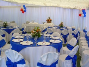 TodoFiestas Avisos gratis en Chile en Santiago |  ARRIENDO DE CARPAS, TOLDOS Y VAJILLA, AL MEJOR PRECIO, WWW.TODOFIESTAS.CL