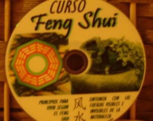 XIMENA  Avisos gratis en Chile en Vitacura |  CURSOS EN DVD , PILATES , FENG SHUI , YOGA , CUECA , SALSA